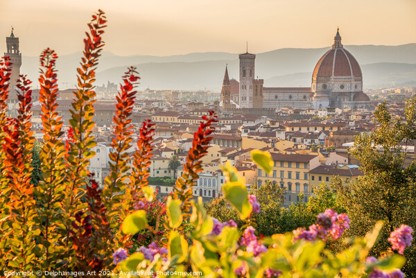 Florence Duomo at sunset, Tuscany, Italy Picture Board by Delphimages Art
