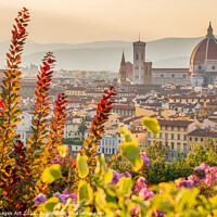 Buy canvas prints of Florence Duomo at sunset, Tuscany, Italy by Delphimages Art