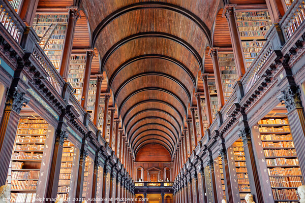 Trinity college library in Dublin, Ireland Picture Board by Delphimages Art