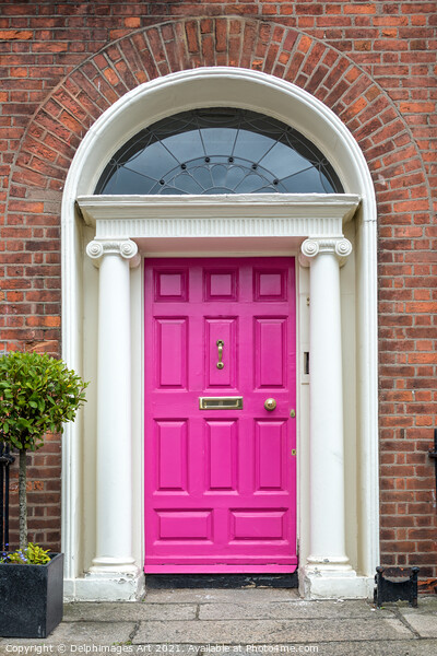 Pink georgian door in Dublin, Ireland Picture Board by Delphimages Art