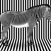 Buy canvas prints of Surreal zebra on striped background by Delphimages Art