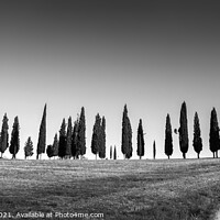 Buy canvas prints of Tuscan panorama black and white, Tuscany by Delphimages Art