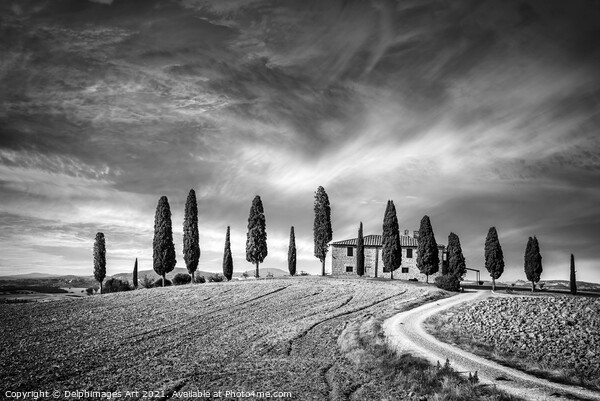 Tuscan landscape, farm in Val d'Orcia Picture Board by Delphimages Art