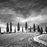Buy canvas prints of Tuscan landscape, farm in Val d'Orcia by Delphimages Art