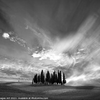 Buy canvas prints of Tuscan landscape. Cypress trees cluster by Delphimages Art