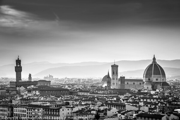 Florence Duomo black and white, Italy Picture Board by Delphimages Art