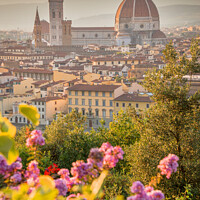 Buy canvas prints of Florence Duomo, Tuscany Italy by Delphimages Art