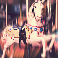 Buy canvas prints of Vintage carousel, antique wooden horse by Delphimages Art
