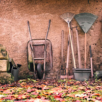 Buy canvas prints of Rustic garden tools against a wall in autumn by Delphimages Art