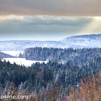 Buy canvas prints of Bavarian Forest by Dirk Rüter