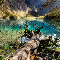 Buy canvas prints of Obersee by Dirk Rüter