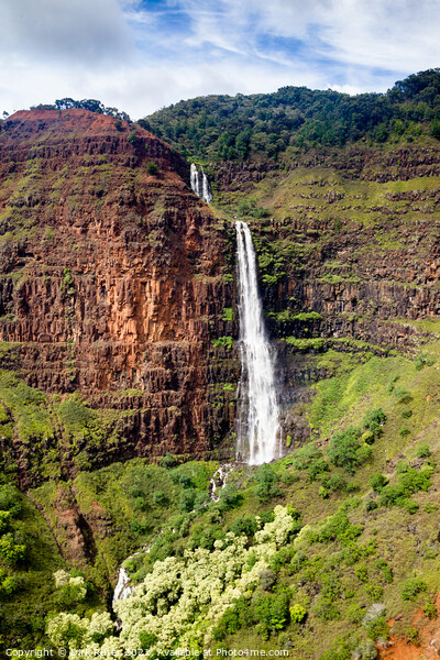 Waipoo Falls, Waimea Canyon, Kauai Picture Board by Dirk Rüter