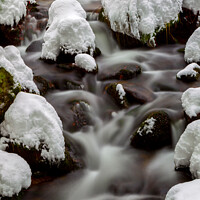 Buy canvas prints of Creek in winter by Dirk Rüter