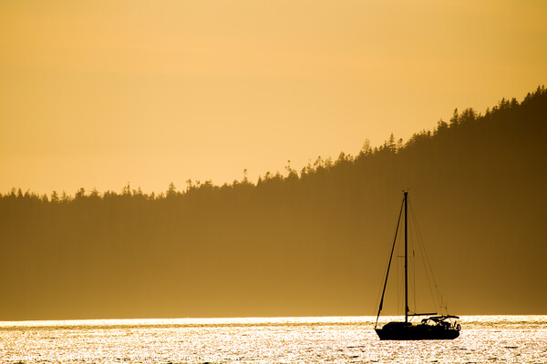 Sail boat in evening light Picture Board by Dirk Rüter