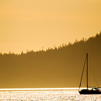 Buy canvas prints of Sail boat in evening light by Dirk Rüter