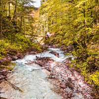 Buy canvas prints of Wimbachklamm in autumn by Dirk Rüter