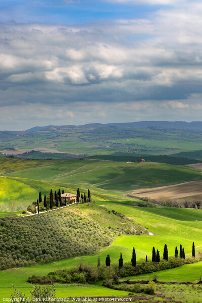 Tuscany in spring Picture Board by Dirk Rüter
