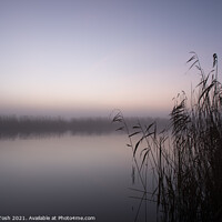 Buy canvas prints of Silence. River, reeds and mist by Martin Tosh