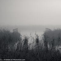 Buy canvas prints of Waterways. Reeds and fences in misty Norfolk Broads by Martin Tosh