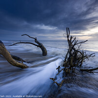Buy canvas prints of Timber. Covehithe, Suffolk by Martin Tosh