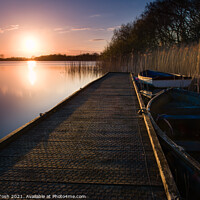 Buy canvas prints of 'Tucked In' Filby Broad by Martin Tosh