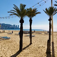 Buy canvas prints of Benidorm Levante Beach in Spain by Chris Mc Manus