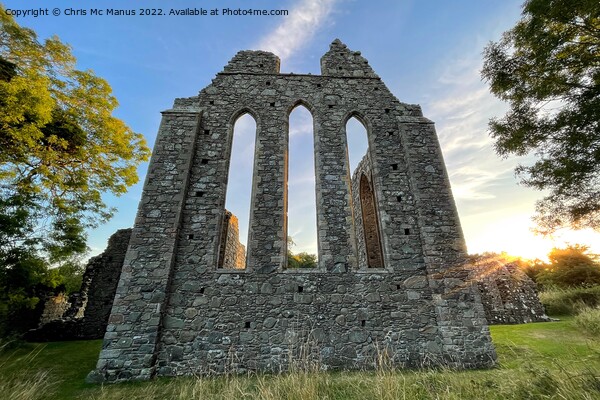 Majestic Ruins of Inch Abbey Picture Board by Chris Mc Manus