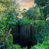 Buy canvas prints of Ik Kil Cenote located in the northern center of the Yucatan Peninsula, a part of the Ik Kil Archeological Park near Chichen Itza by Elijah Lovkoff