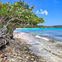 Buy canvas prints of Sapphire beach on St. Thomas island by Elijah Lovkoff