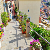 Buy canvas prints of Italy, Riomaggiore colorful streets by Elijah Lovkoff