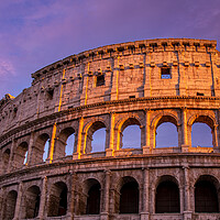 Buy canvas prints of Famous Coliseum Colosseum of Rome at early sunset by Elijah Lovkoff