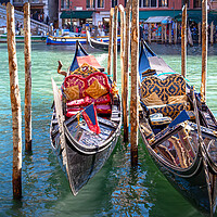 Buy canvas prints of Venice, Gandolas near Landmark Rialto Bridge by Elijah Lovkoff