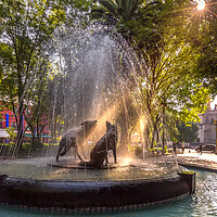 Buy canvas prints of Beautiful Coyoacan streets and houses in historic district that hosts Frida Khalo museum and authentic Mexican restaurants by Elijah Lovkoff