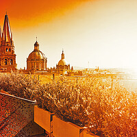 Buy canvas prints of Central Guadalajara Cathedral by Elijah Lovkoff