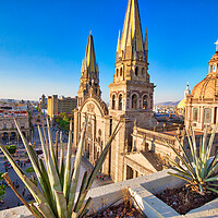 Buy canvas prints of Guadalajara, Central Landmark Cathedral by Elijah Lovkoff