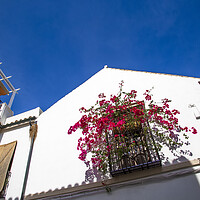Buy canvas prints of Cordoba streets on a sunny day in historic city center near Mezquita Cathedral by Elijah Lovkoff