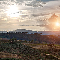 Buy canvas prints of Andalusian landscapes near Ronda, Spain by Elijah Lovkoff