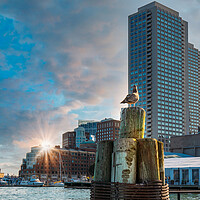 Buy canvas prints of Scenic Boston Harbor and city views by Elijah Lovkoff