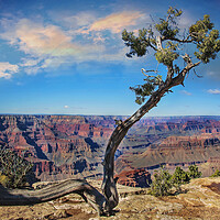 Buy canvas prints of Grand Canyon scenic views and landscapes by Elijah Lovkoff