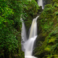 Buy canvas prints of Stock Ghyll Force by Nigel Wilkins