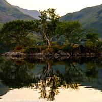 Buy canvas prints of Woodhouse Islands, Lake District by Nigel Wilkins