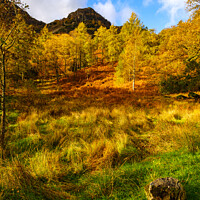 Buy canvas prints of Autumn Colours by Nigel Wilkins