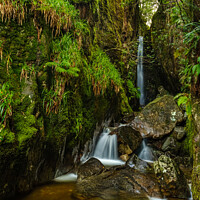 Buy canvas prints of Dungeon Ghyll Force by Nigel Wilkins