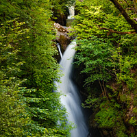 Buy canvas prints of Aira Force by Nigel Wilkins
