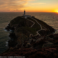 Buy canvas prints of South Stack Sunset by Nigel Wilkins