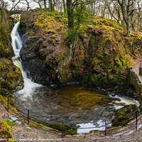Buy canvas prints of Aira Force by Nigel Wilkins