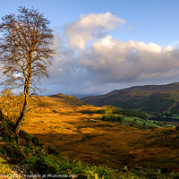 Buy canvas prints of Borrowdale by Nigel Wilkins