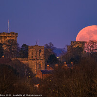 Buy canvas prints of Warwick Castle Moonrise by Nigel Wilkins