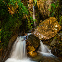 Buy canvas prints of Dungeon Ghyll by Nigel Wilkins