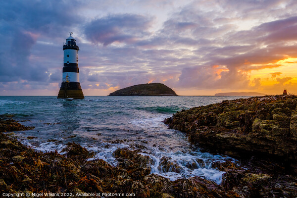 Penmon Lighthouse Sunrise, Anglesey Framed Mounted Print by Nigel Wilkins